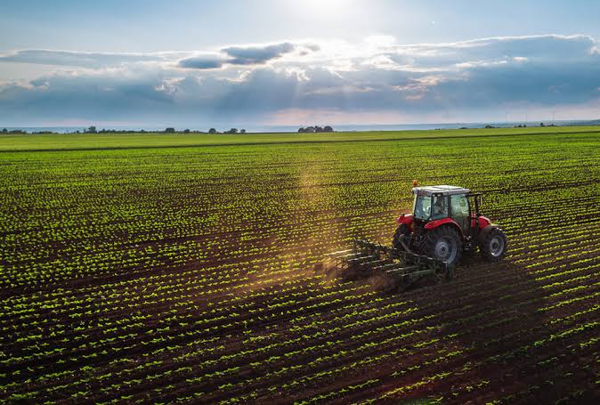 Campo agrícola